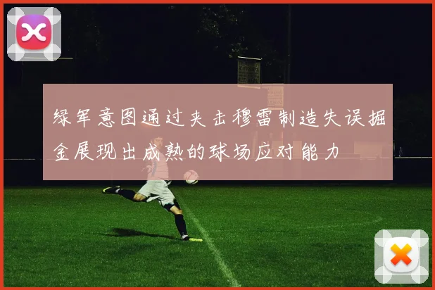 绿军意图通过夹击穆雷制造失误掘金展现出成熟的球场应对能力